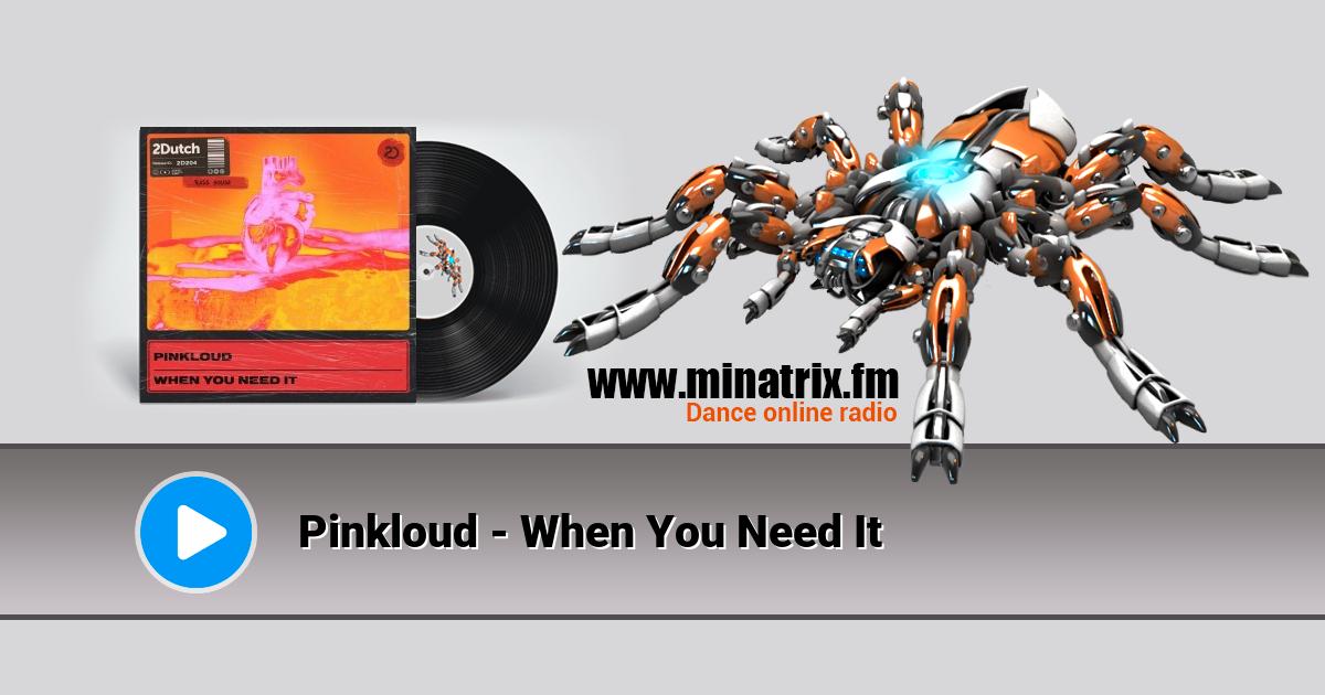 Pinkloud - When You Need It  