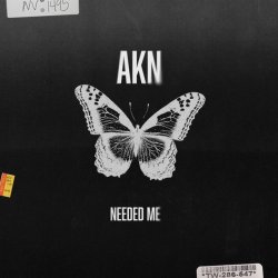 AKN - Needed Me